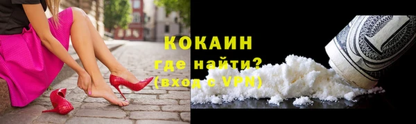 стафф Аркадак