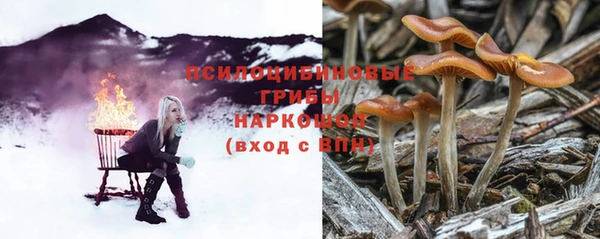 соль ск Елабуга