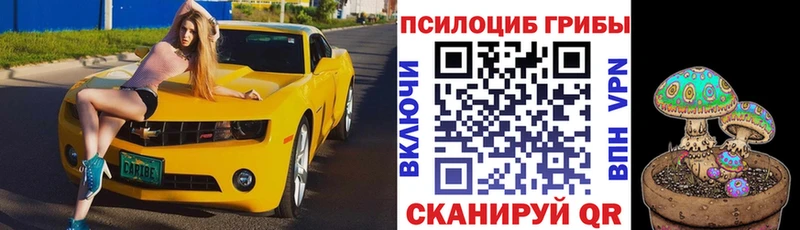 Галлюциногенные грибы Magic Shrooms закладки Высоцк
